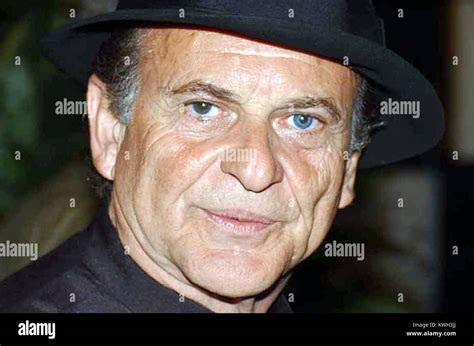 photos of joe pesci|joe pesci eye color.